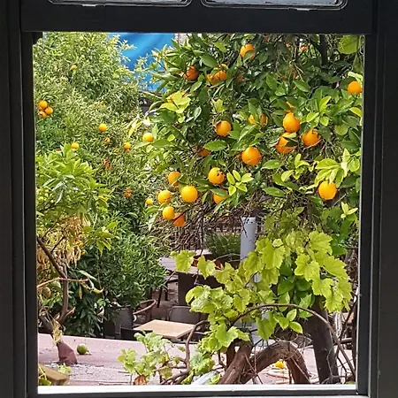 Gazde/Camere de închiriat Gizli Bahce *